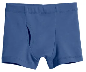 Boys Organic Boxer Briefs Seconds | Damage Smurf