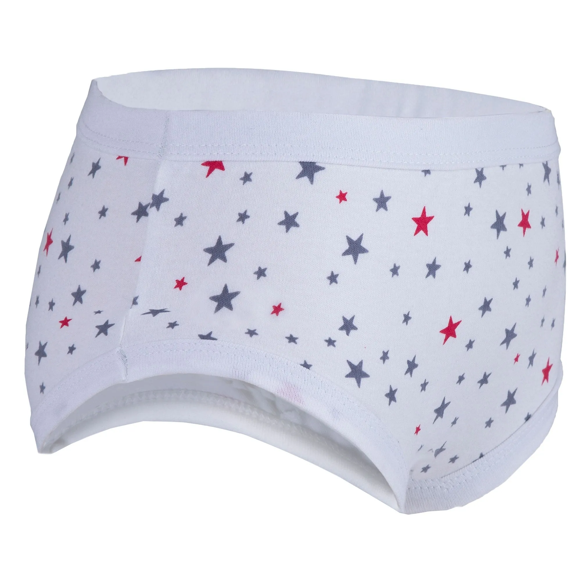 Boys Washable Absorbent Briefs