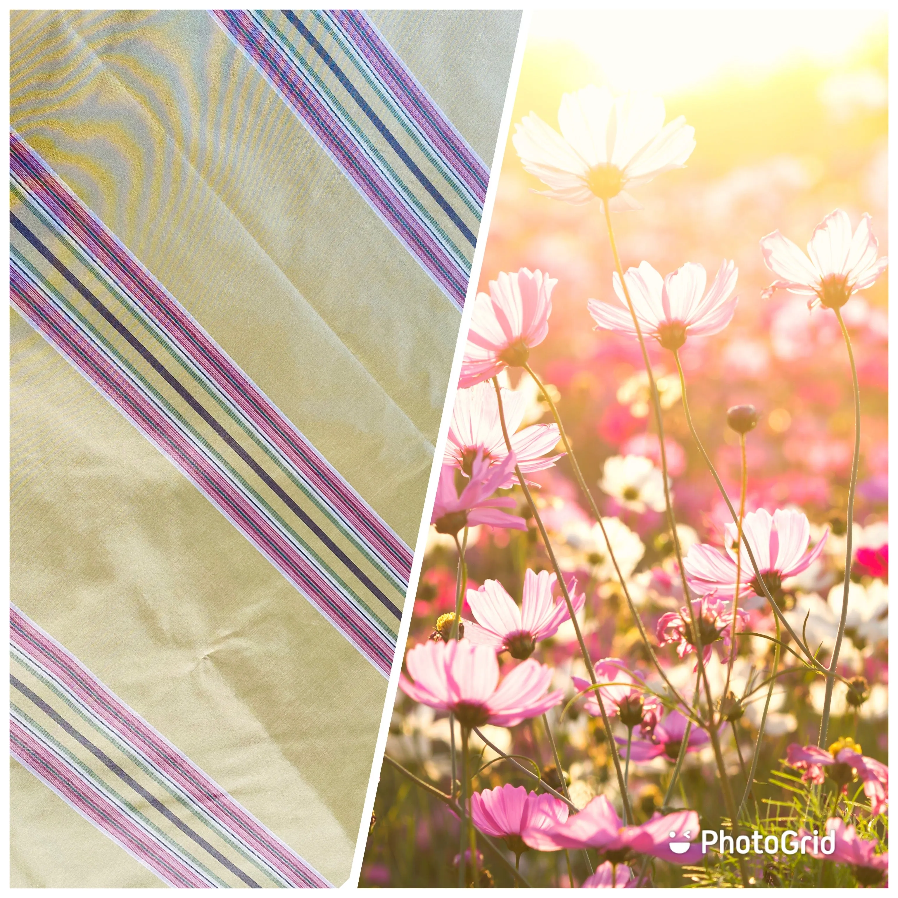 NEW Princess Josephine 100% Silk Taffeta Stripes Fabric - Golden Yellow, Green, Pink, Purple