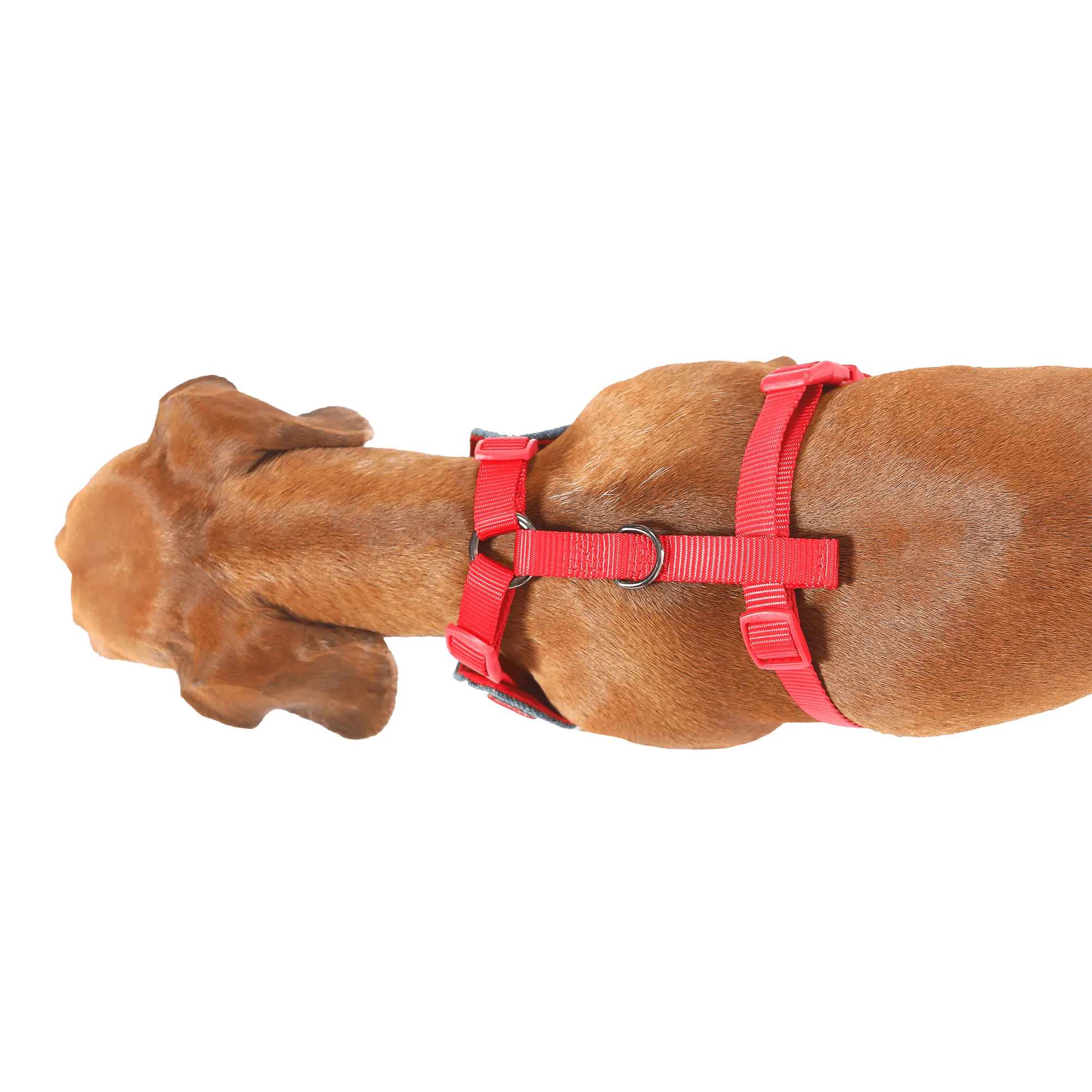 Red Denim Dog Harness