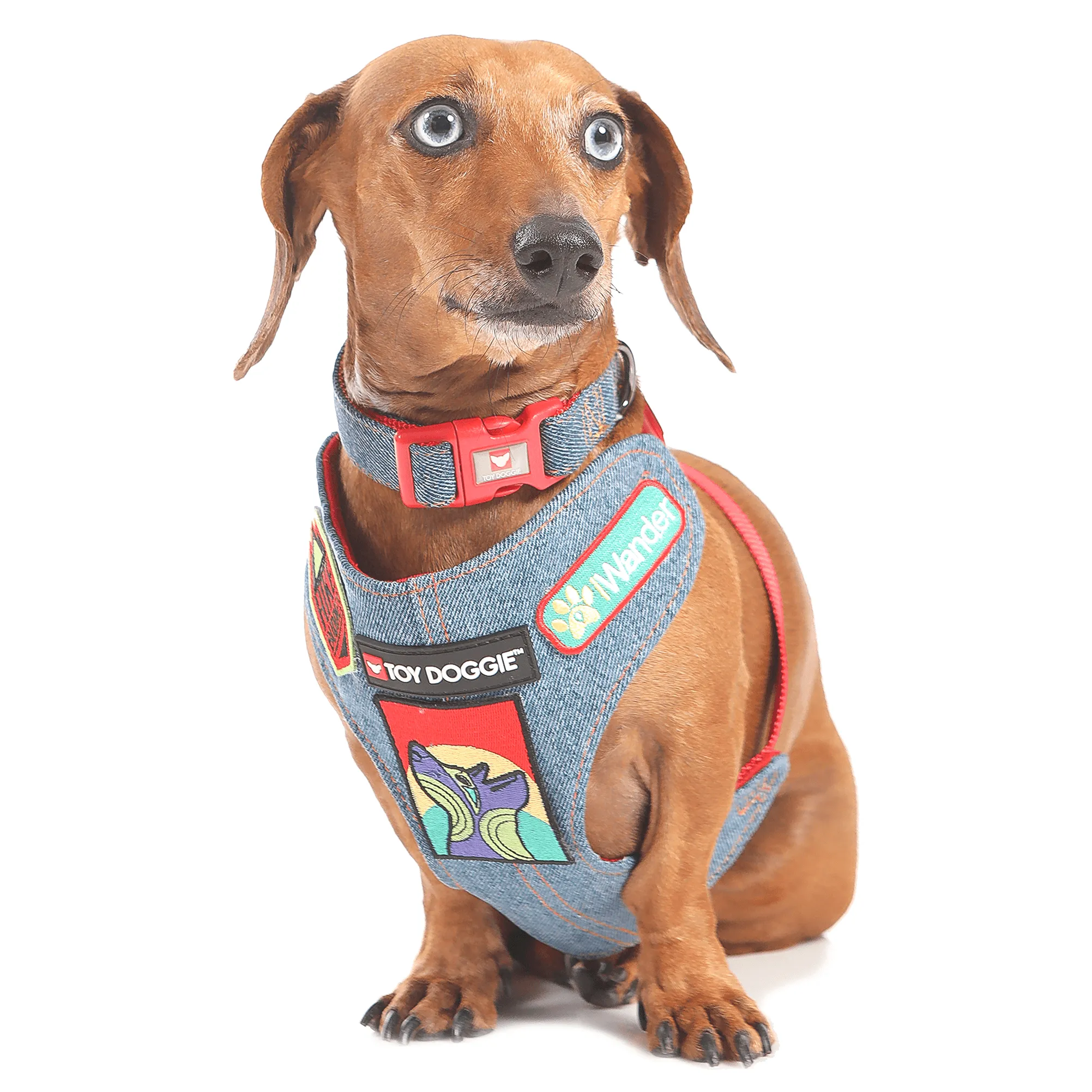 Red Denim Dog Harness