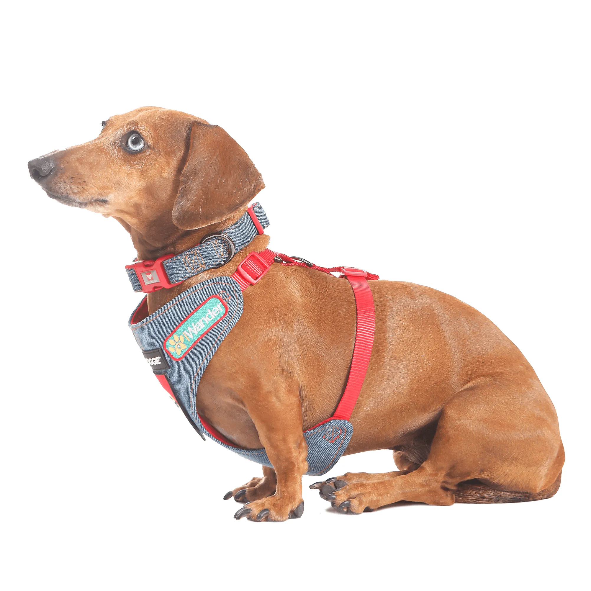 Red Denim Dog Harness