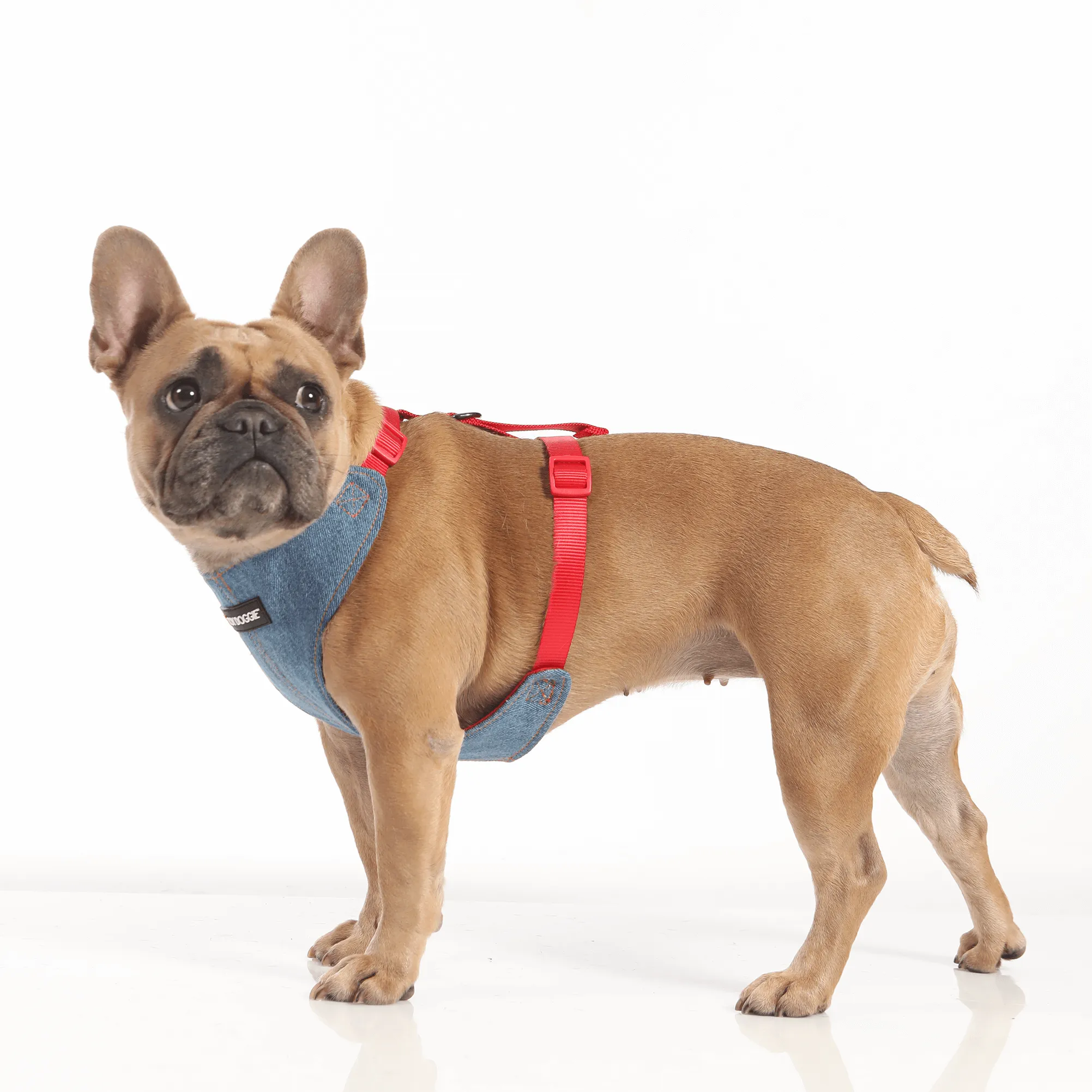 Red Denim Dog Harness